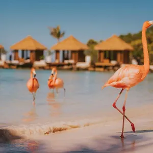 **** Station touristique Renaissance Wind Creek Aruba Aruba